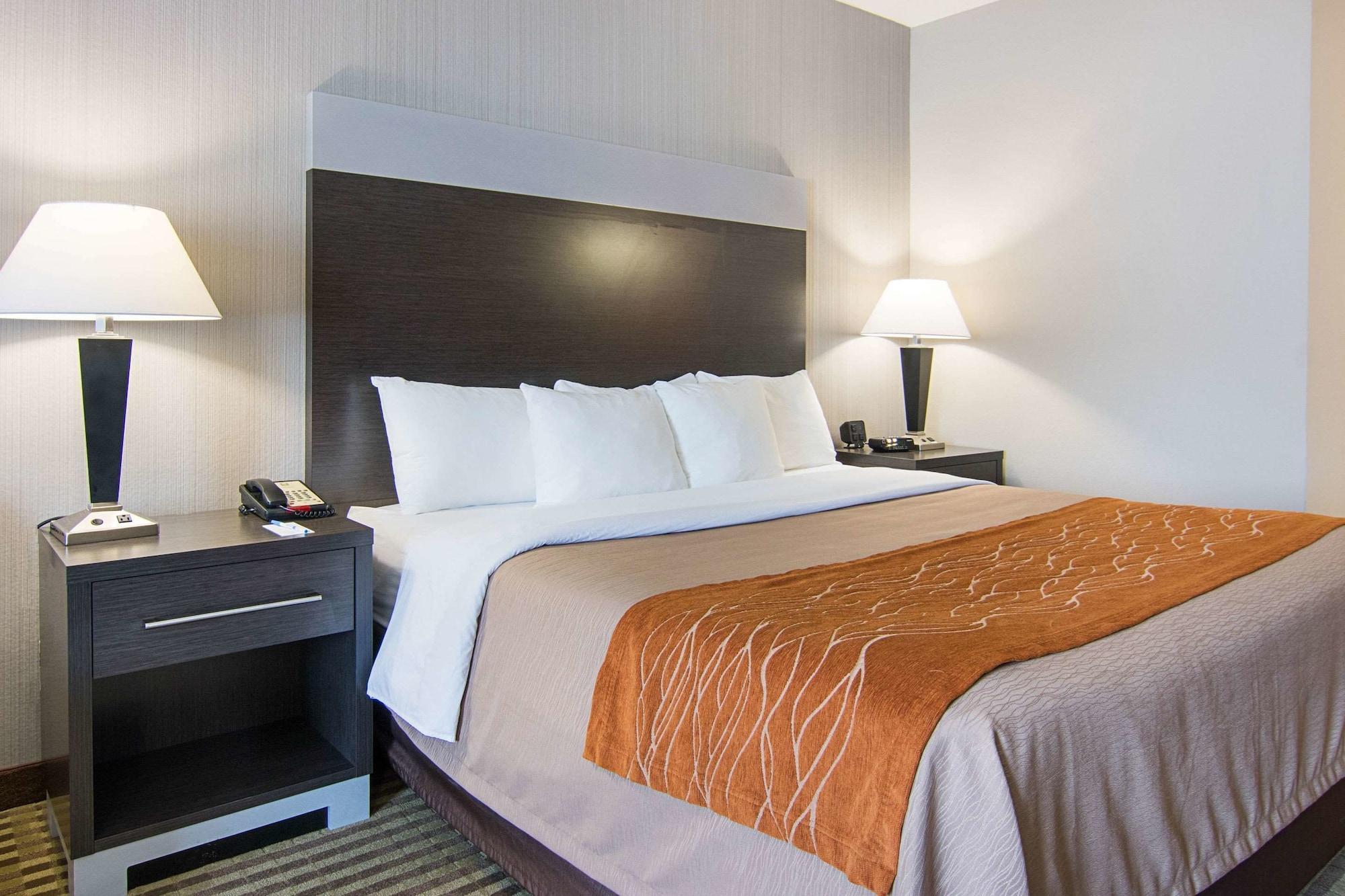 Comfort Inn Camden מראה חיצוני תמונה