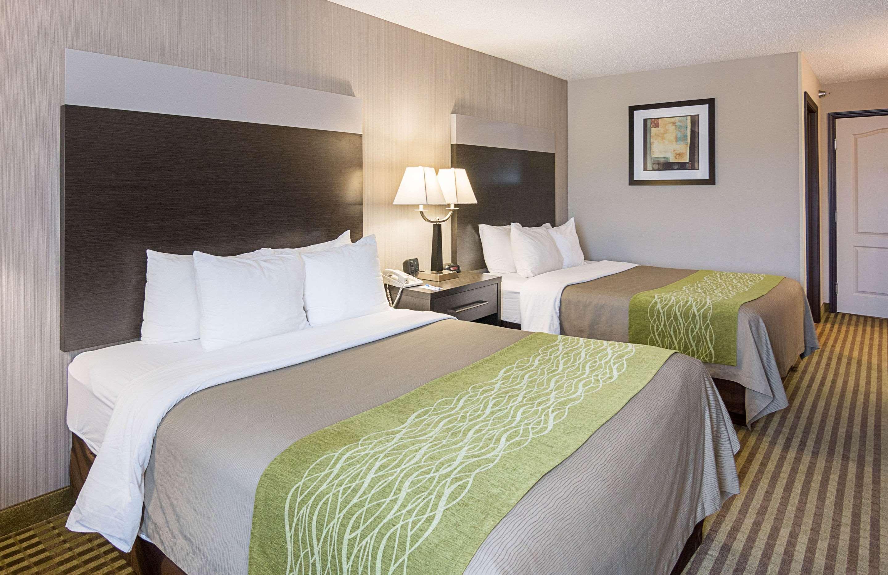 Comfort Inn Camden מראה חיצוני תמונה