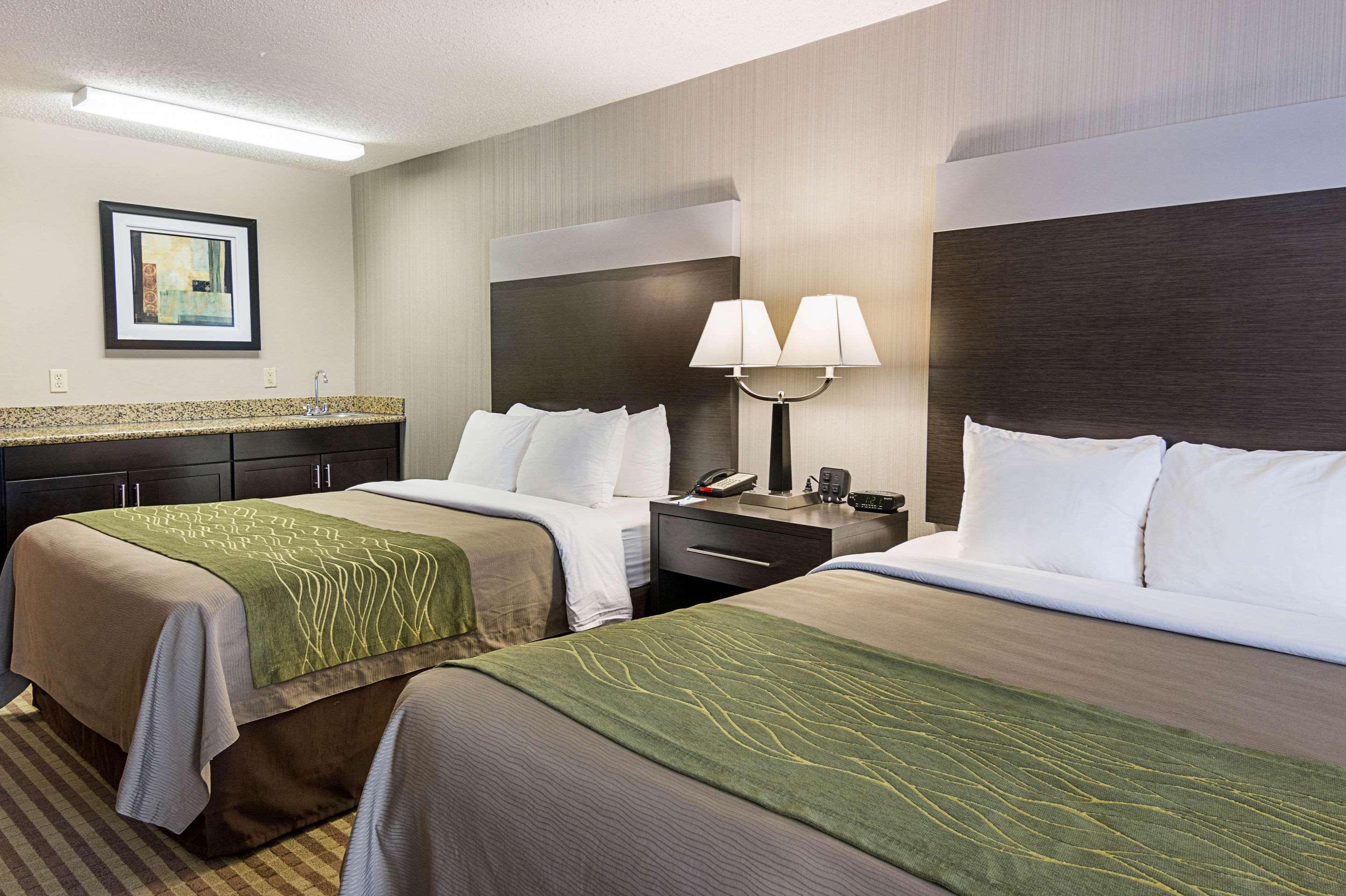 Comfort Inn Camden מראה חיצוני תמונה