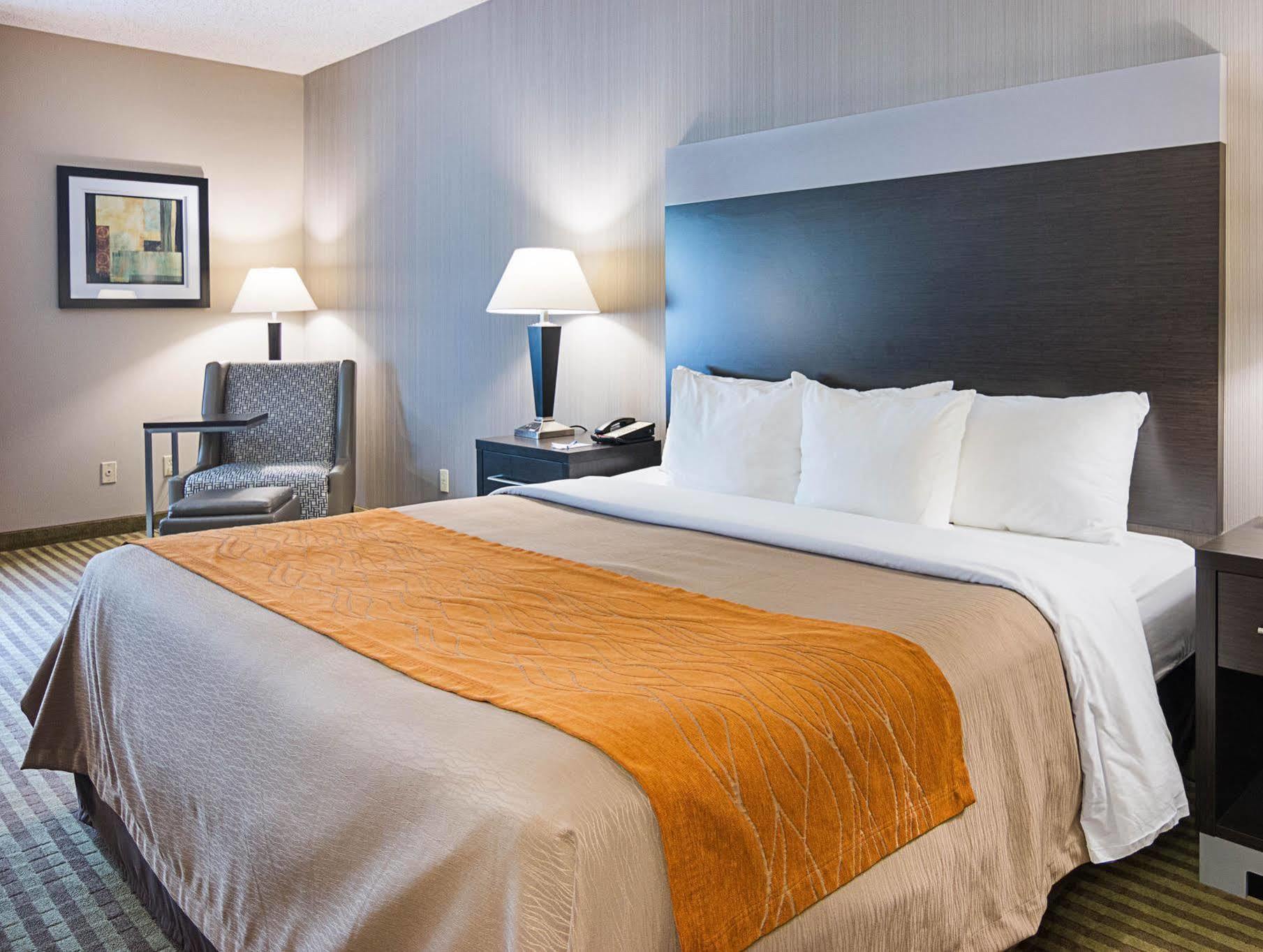 Comfort Inn Camden מראה חיצוני תמונה